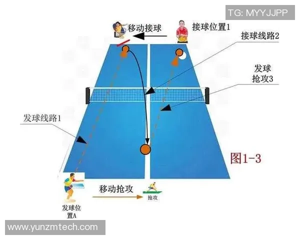 杭州乒乓球队在冠军赛中的技术表现与战术分析探讨